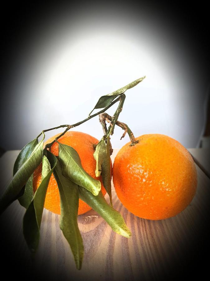 Naranja - Oase Van Rust Willa *